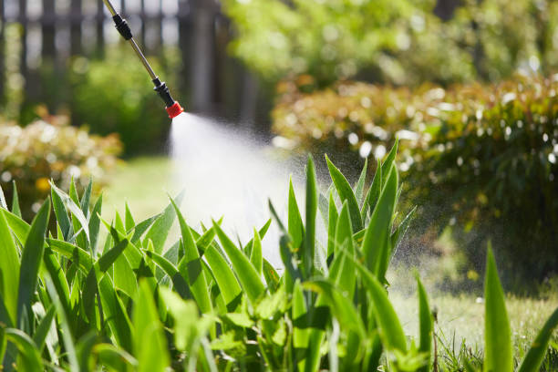 Tamper-Resistant Bait Stations for Rodents in Beverly Hills