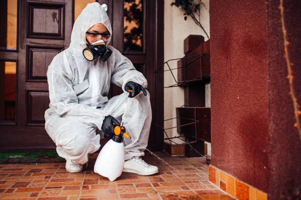 Attic and Crawl Space Rodent Treatment in Beverly Hills